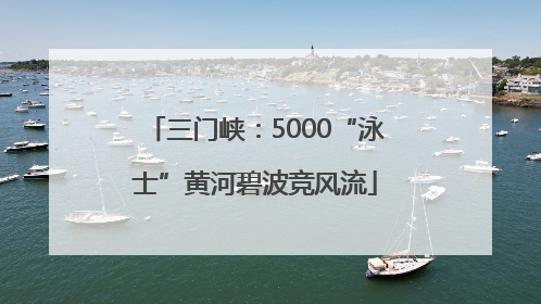 三门峡：5000“泳士”黄河碧波竞风流