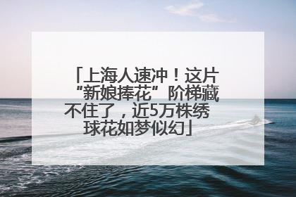 上海人速冲！这片“新娘捧花”阶梯藏不住了，近5万株绣球花如梦似幻