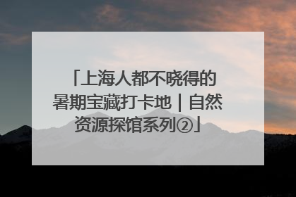 上海人都不晓得的 暑期宝藏打卡地｜自然资源探馆系列②
