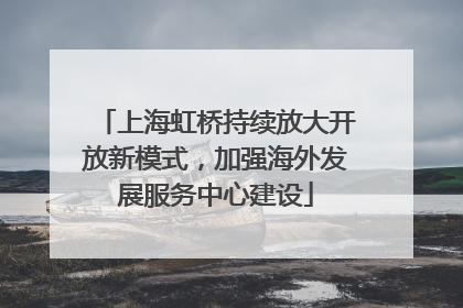 上海虹桥持续放大开放新模式，加强海外发展服务中心建设