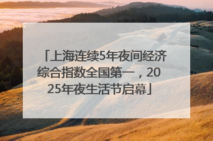 上海连续5年夜间经济综合指数全国第一，2025年夜生活节启幕