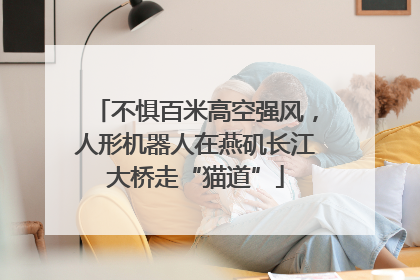 不惧百米高空强风，人形机器人在燕矶长江大桥走“猫道”