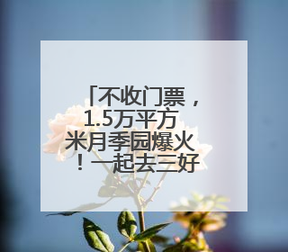不收门票，1.5万平方米月季园爆火！一起去三好桥头看“龙凤呈祥”
