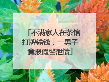 不满家人在茶馆打牌输钱，一男子竟报假警泄愤
