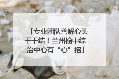专业团队善解心头千千结！兰州榆中综治中心有“心”招