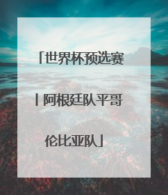 世界杯预选赛丨阿根廷队平哥伦比亚队