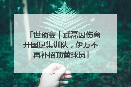 世预赛｜武磊因伤离开国足集训队，伊万不再补招顶替球员