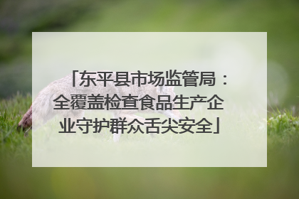 东平县市场监管局：全覆盖检查食品生产企业守护群众舌尖安全