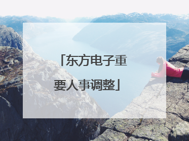 东方电子重要人事调整