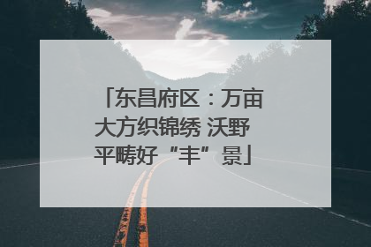 东昌府区：万亩大方织锦绣 沃野平畴好“丰”景