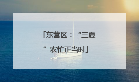 东营区：“三夏”农忙正当时