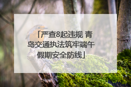 严查8起违规 青岛交通执法筑牢端午假期安全防线