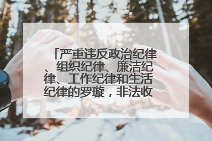 严重违反政治纪律、组织纪律、廉洁纪律、工作纪律和生活纪律的罗璇，非法收受他人巨额财物
