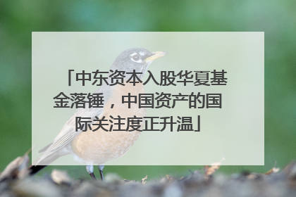 中东资本入股华夏基金落锤，中国资产的国际关注度正升温