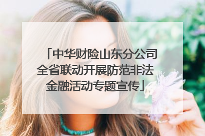 中华财险山东分公司全省联动开展防范非法金融活动专题宣传