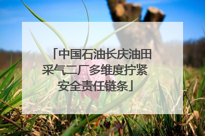 中国石油长庆油田采气二厂多维度拧紧安全责任链条
