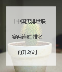 中国男排世联赛两连胜 排名再升2位
