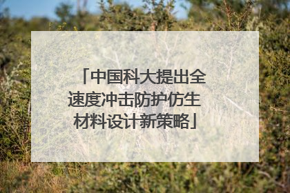 中国科大提出全速度冲击防护仿生材料设计新策略