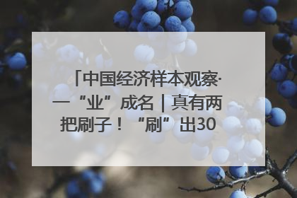 中国经济样本观察·一“业”成名｜真有两把刷子！“刷”出30亿级“颜值经济”