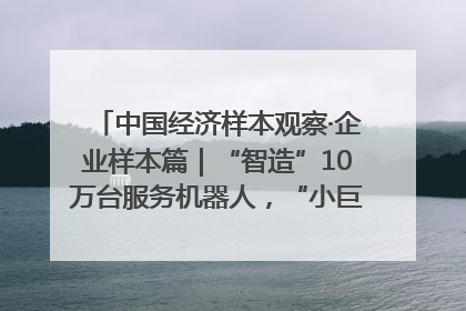 中国经济样本观察·企业样本篇｜“智造”10万台服务机器人，“小巨人”擎朗有大梦想
