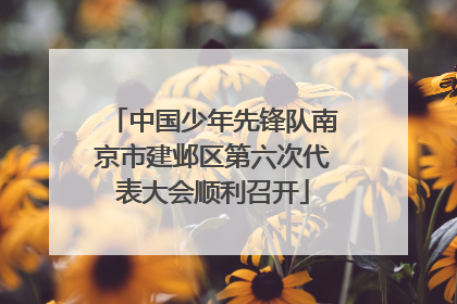 中国少年先锋队南京市建邺区第六次代表大会顺利召开