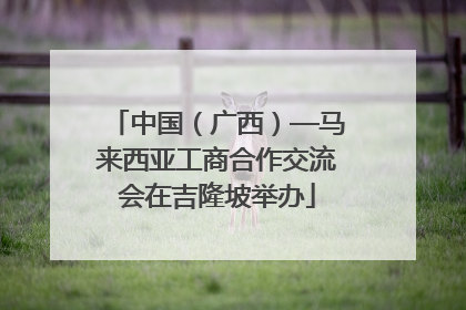 中国（广西）—马来西亚工商合作交流会在吉隆坡举办
