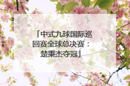 中式九球国际巡回赛全球总决赛：楚秉杰夺冠