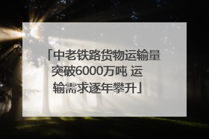 中老铁路货物运输量突破6000万吨 运输需求逐年攀升