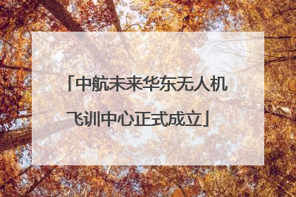 中航未来华东无人机飞训中心正式成立