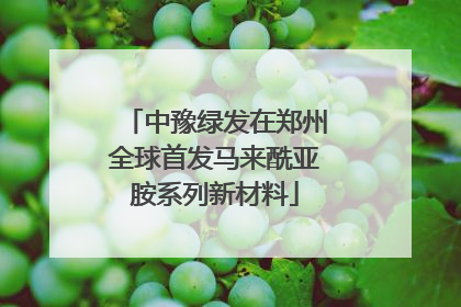 中豫绿发在郑州全球首发马来酰亚胺系列新材料