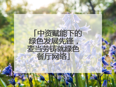 中资赋能下的绿色发展先锋，麦当劳铸就绿色餐厅网络