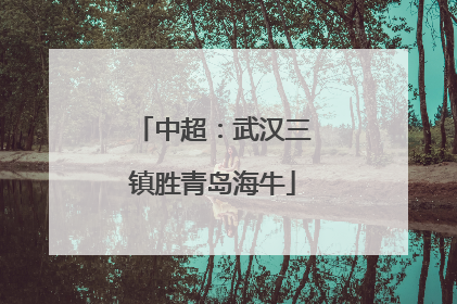 中超：武汉三镇胜青岛海牛