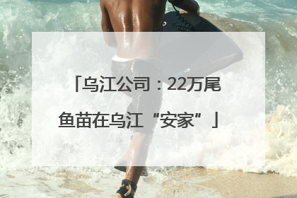 乌江公司：22万尾鱼苗在乌江“安家”