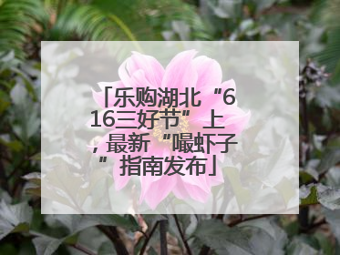 乐购湖北“616三好节”上，最新“嘬虾子”指南发布