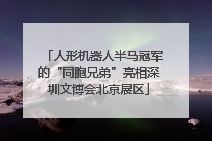 人形机器人半马冠军的“同胞兄弟”亮相深圳文博会北京展区