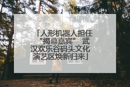 人形机器人担任“揭幕嘉宾” 武汉欢乐谷码头文化演艺区焕新归来