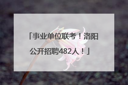 事业单位联考！洛阳公开招聘482人！