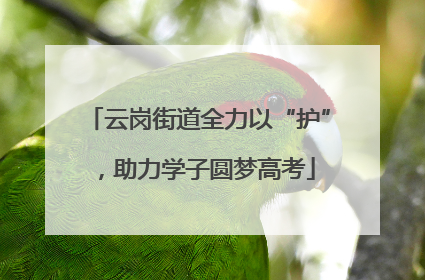 云岗街道全力以“护”，助力学子圆梦高考