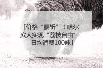 价格“腰斩”！哈尔滨人实现“荔枝自由”，日均消费100吨