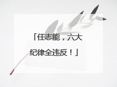 任志能，六大纪律全违反！