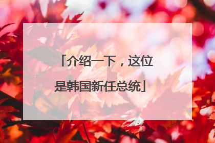 介绍一下，这位是韩国新任总统