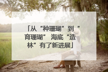 从“种珊瑚”到“育珊瑚” 海底“造林”有了新进展