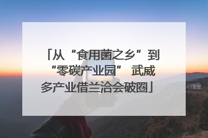 从“食用菌之乡”到“零碳产业园” 武威多产业借兰洽会破圈