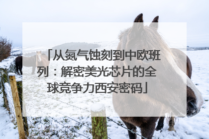 从氮气蚀刻到中欧班列：解密美光芯片的全球竞争力西安密码