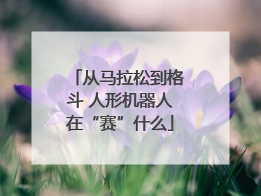从马拉松到格斗 人形机器人在“赛”什么