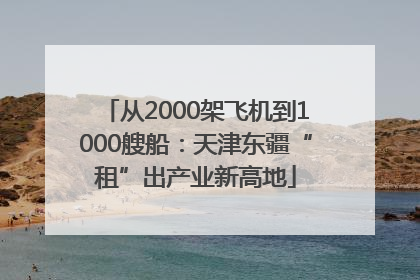 从2000架飞机到1000艘船：天津东疆“租”出产业新高地