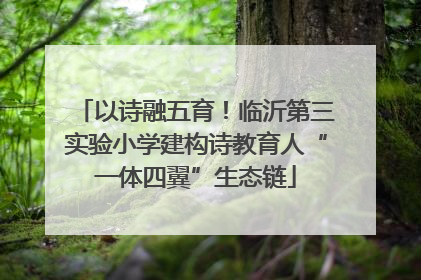 以诗融五育！临沂第三实验小学建构诗教育人“一体四翼”生态链