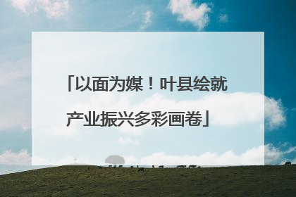 以面为媒！叶县绘就产业振兴多彩画卷