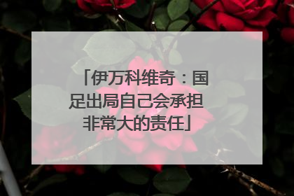 伊万科维奇：国足出局自己会承担非常大的责任