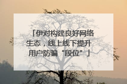 伊对构建良好网络生态，线上线下提升用户防骗“段位”